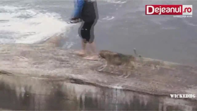 Вижте как се отблагодарява куче след като е спасено от ледена вода