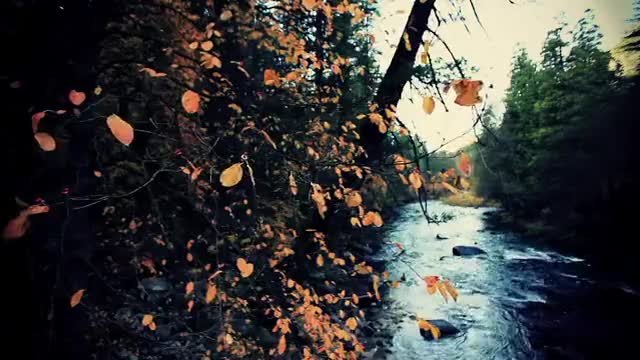 Есен в Йосемити ; Информация за парк Йосемити.