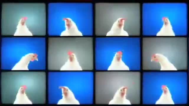 Супер Видео - Techno Chicken Remix