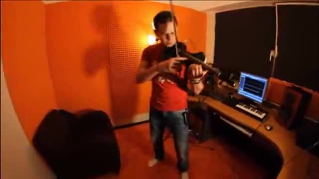 ANIMALS   Chives Violin Concert