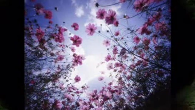 Ishtar - Horchat Hai Caliptus [Превод и Текст]