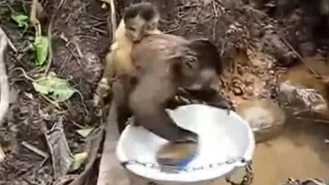 ЖЕНСКА СЪДБА , КАКВО ДА СЕ ПРАВИ