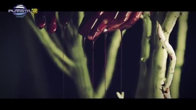 Премиера! Андреa -  Най- Добрата (Official Video)