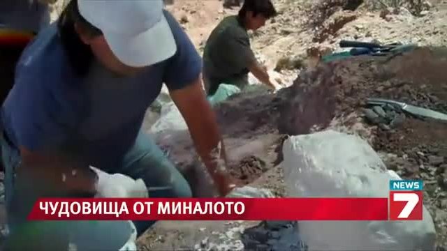 Откриха костите на 77-тонен динозавър - Новини България от днес!