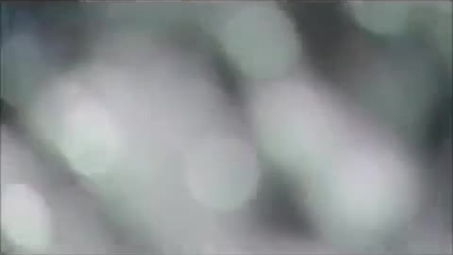 Axel Rudi Pell ~ Where The Wild Waters Flow