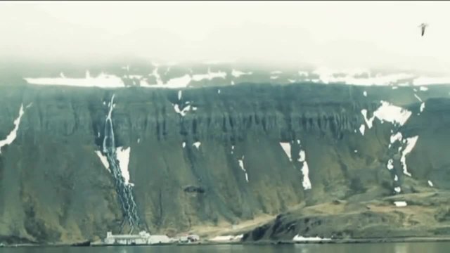 Axel Rudi Pell - The Line