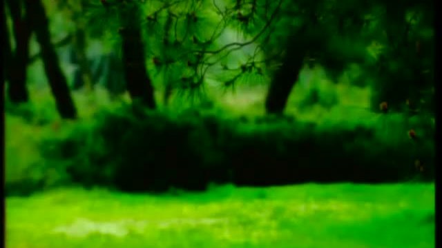 Giannis Ploutarxos - Enas Theos