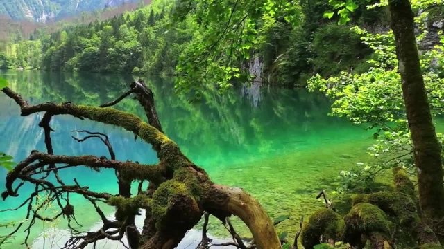 Красотите на Австрия - Една държава на Европа