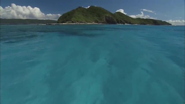 Морета, океани и острови на нашата планета Земя - Нека запазим природата!