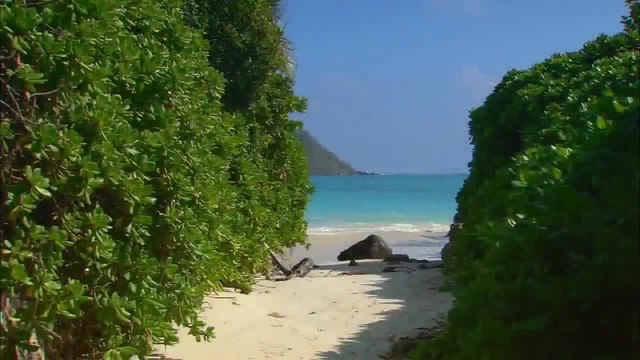 Хаваиските острови - Най-красивите!