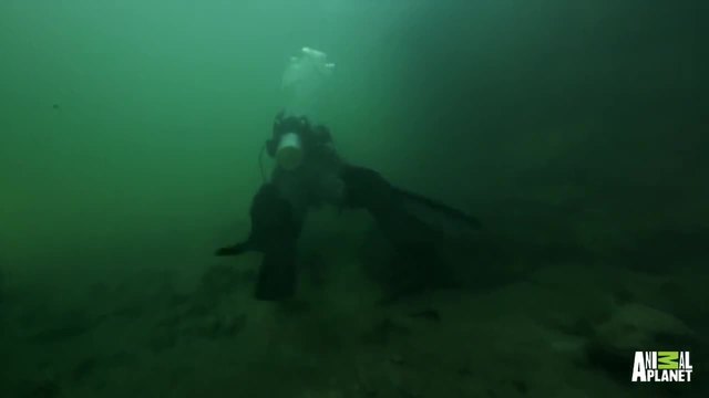 Face-to-Face with a 20-Foot_ Monster Anaconda _ River Monsters