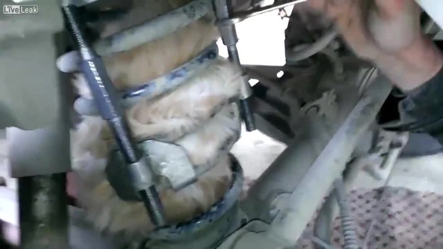 Руснаци спасяват котка заклещила се в пружина