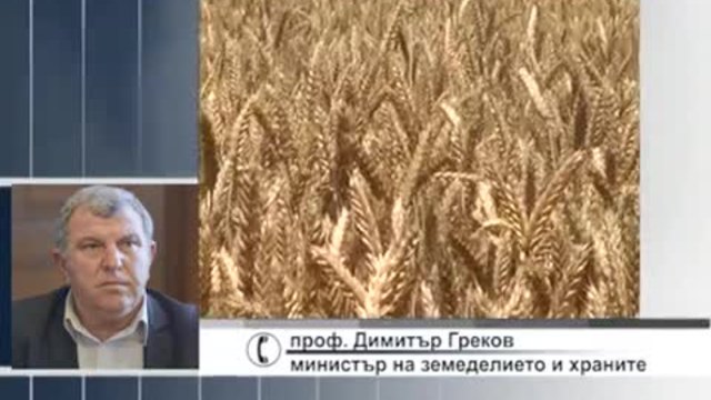 Няма опасност от зърнена криза