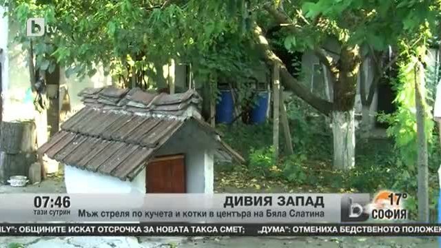 Мъж стреля по кучета и котки в центъра на Бяла Слатина