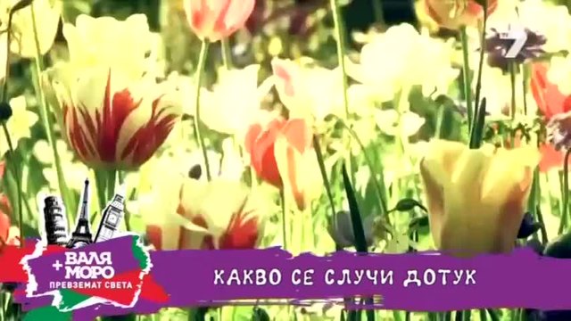 Валя и Моро превземат света - Париж, еп.17 - 08.07.2014