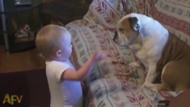 Бебе се аргументира пред куче ..