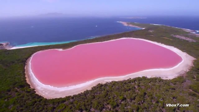 Уингсют полет над розовото езеро Хилиър в Австралия