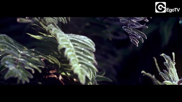 TOURIST - I Can't Keep Up (Official Video)