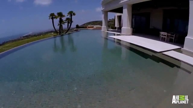 Басейн-Мечта - Луксозен басейн за милион долара