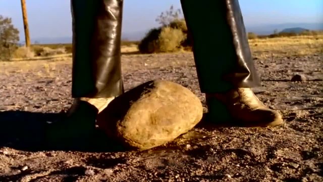 The Cardigans - My Favourite Game