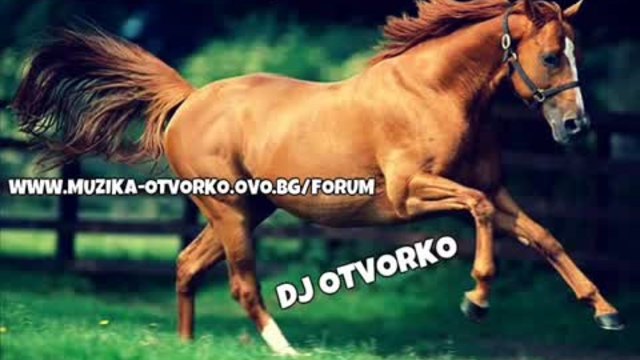 Ork Djodji Bend - Konq Vihar 2014 _ Орк Джоджи Бенд - Коня Вихар 2014