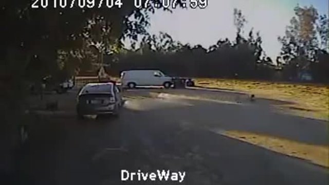 Ротвайлер спасява Чихуахуа от Койот