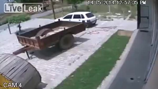 Как се краде крава в Индия