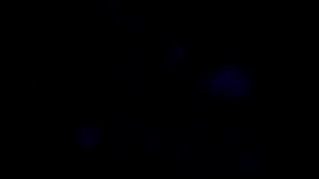 Люси  Lucy - Част 1  Бг Субтитри - Филм (2014)