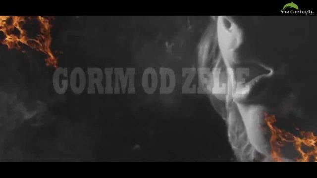 Mr. Black Feat. Ldzuba &amp; Dj Mafiano - Gorim od zelje ( Официално Видео )