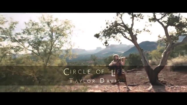 Taylor Davis - Circle of Life on Violin | | The Lion King | | Цар Лъв | | Official Video 2014