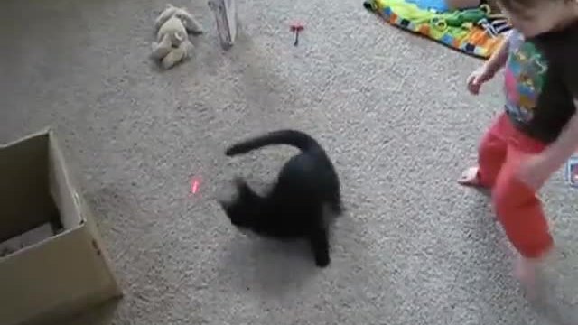 Бебе и котка в дуел за лазерната точка