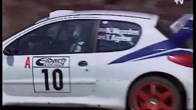 Peugeot 206 Wrc - Rallye Deutschland 2001