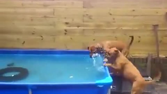 Мисията възможна