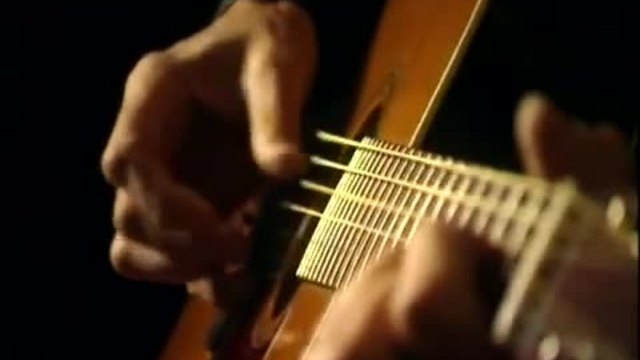 Roger Waters - Brain Damage - acoustic version