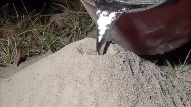 Какво се случва, след като се изсипе течен алуминий в голям мравуняк