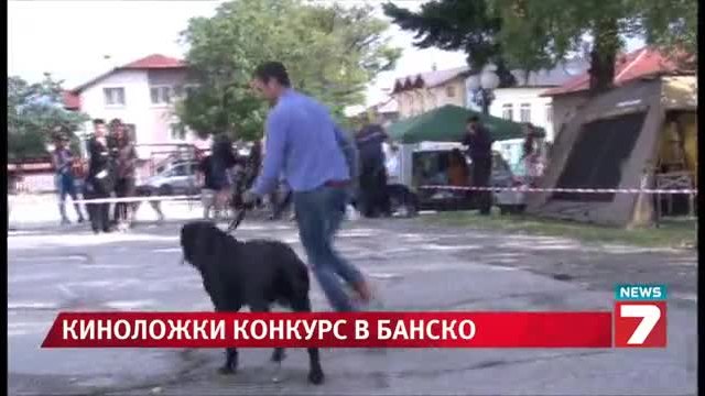 70 кучета на изложба в Банско - Новини България (06.09.2014)