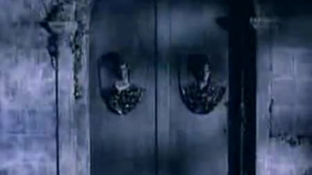 Dead Or Alive - Something In My House