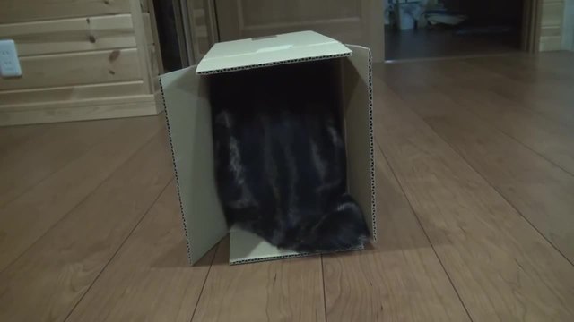 Котето Мару и многото кутии ..