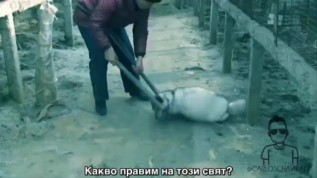 Планетата Земя - това си ти! Послание, което разтърси света!