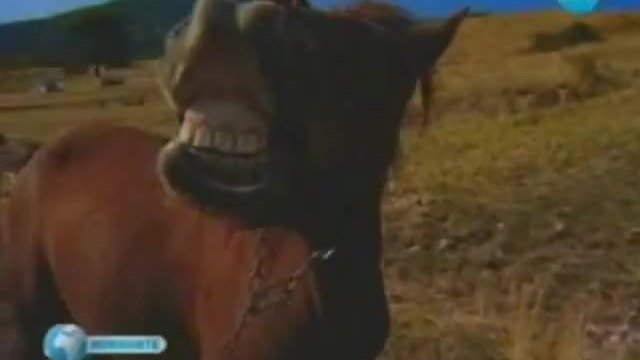 Кон се усмихва в Новините на Нова Тв