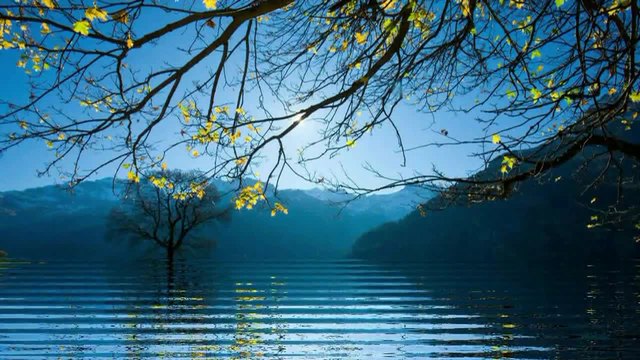 Добре дошла, Есен!