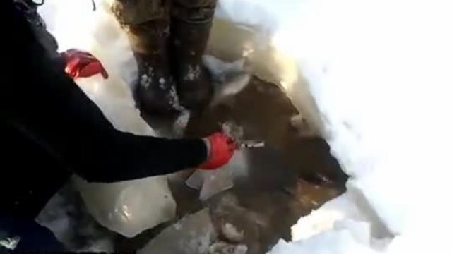 Руски изобретателни рибари ловят по елегантен начин щука в замързнало езеро
