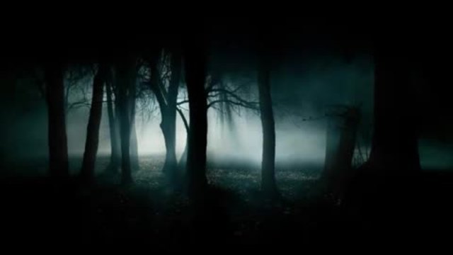 Scary Forest Sounds - Звуци от гората!Страшни
