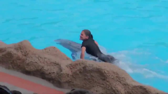 Невероятни делфини със страхотни умения