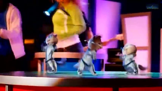 Chipettes - Видимо Доволни