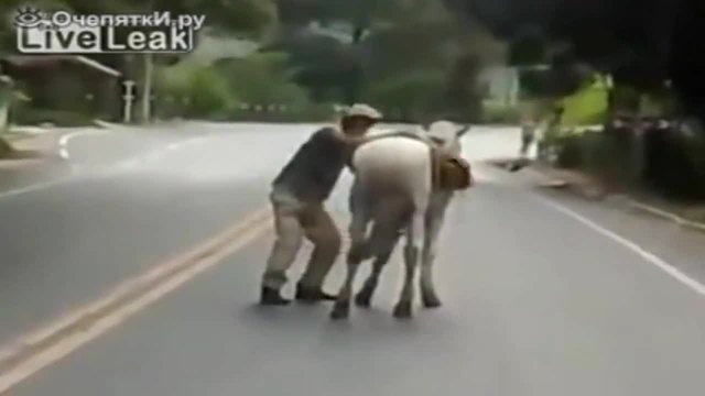 Забавно видео ! Подпийнал мъж се опитва да яхне кон