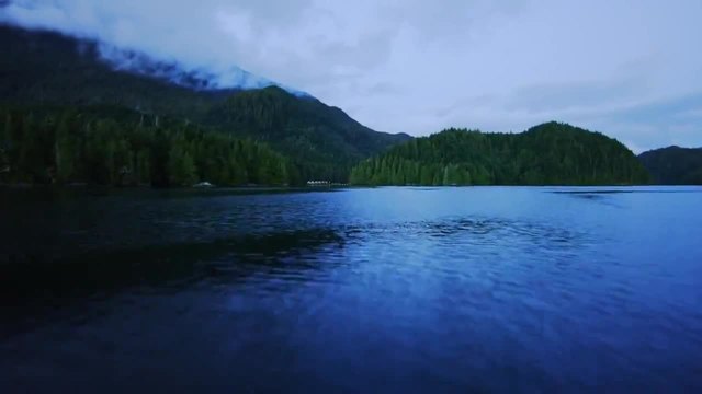 Великолепната дъждовна гора на Канада