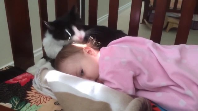 Котка , грижища се за чистотата на бебето !