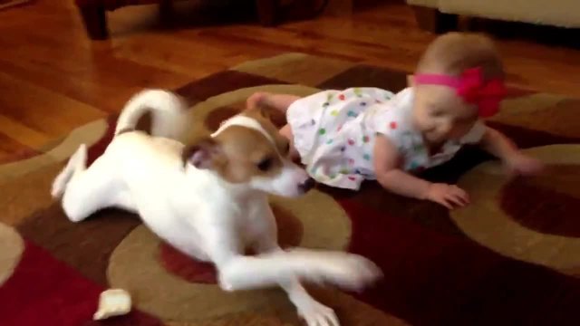 Куче учи бебе как да пълзи!