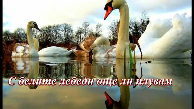 Бели лебеди ... (с поезията на Ясен Ведрин) ... (music Giovanni Marradi) ... ...